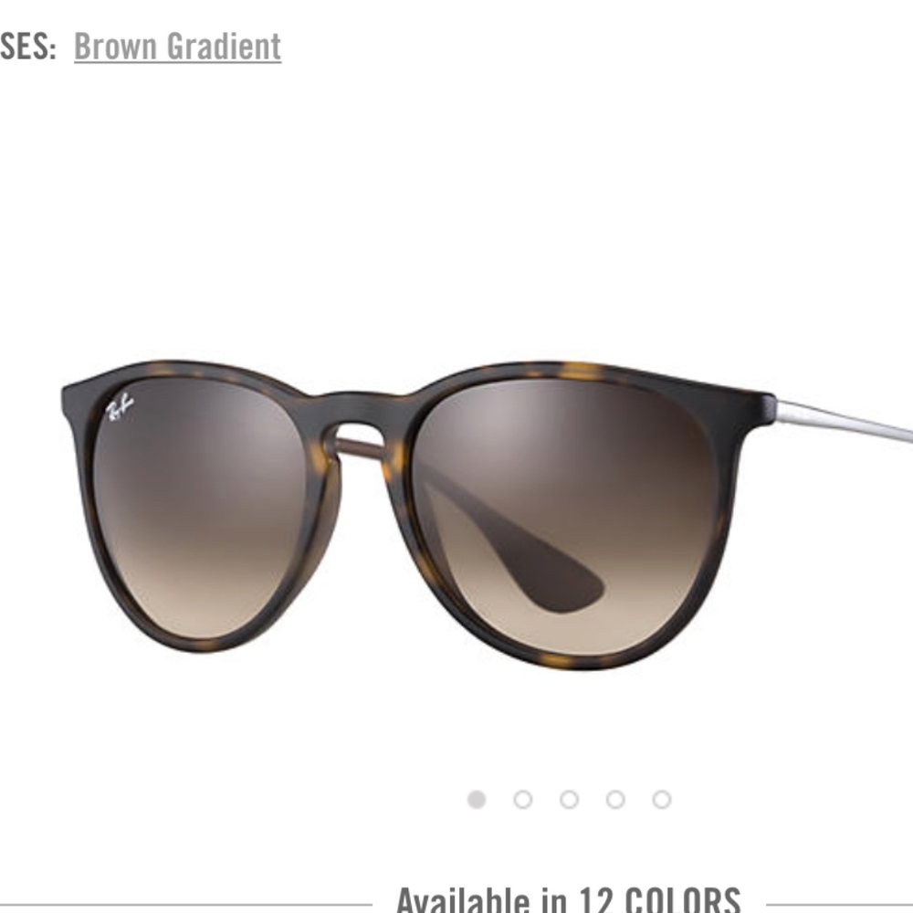 Ray-Ban Erika Sunglasses